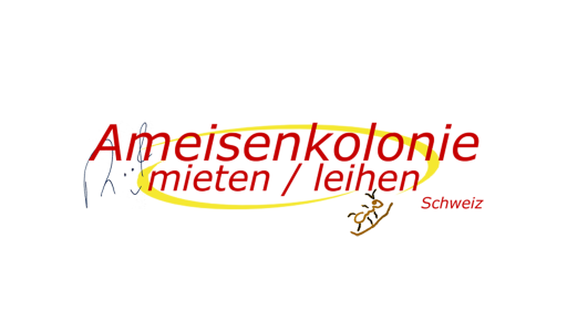 Ameisen zum Mieten